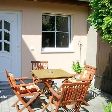 Ferienwohnungen _ Haus Lisa_ Senftenberg Exterior photo